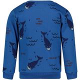 Sturdy - Sweater - Blauw - Ronde Hals - Lange Mouwen