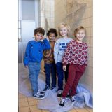 Sturdy - Sweater - Blauw - Ronde Hals - Lange Mouwen