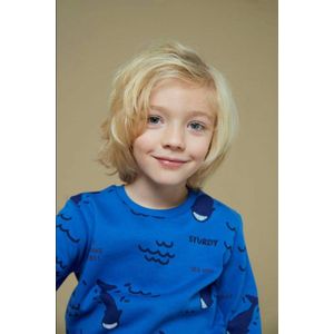 Sturdy - Sweater - Blauw - Ronde Hals - Lange Mouwen