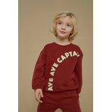 Sturdy - Sweater - Donkerrood