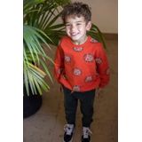 Sturdy - Chasing Trails - Sportbroek - Grijsblauw - Regular Pasvorm