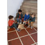 Sturdy - Chasing Trails - Sportbroek - Grijsblauw - Regular Pasvorm