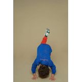 Sturdy - Chasing Trails - Sweatpants - Oranje - 100% Katoen