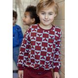 Sturdy - Broek - Regular Pasvorm - Katoen met Stretch