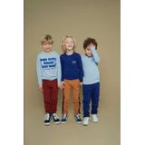 Sturdy - Regular Casual Broek - Bruin