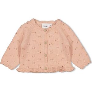 Feetje - Morning Sun - Vest - Roze - Fijn Gebreid