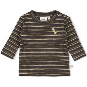 Feetje - Rawrsome - Longsleeve - Grijsbruin