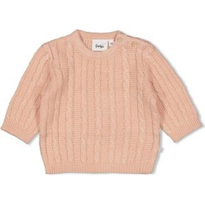 Feetje - The Knits - Gebreide Trui - Katoen - Kabelpatroon