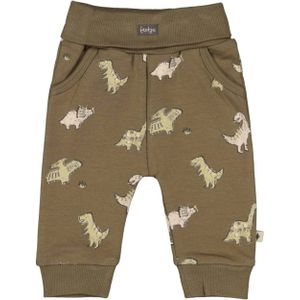 Feetje - Rawrsome - Broek - Regular Fit - Katoen met Elastaan