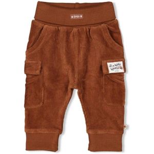 Feetje - Wild World - Ribbroek - Regular Fit - Velours
