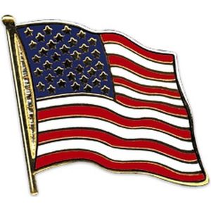 Pin Vlag USA/Amerika - Verkleedaccessoire voor volwassenen - 20 mm formaat