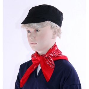 Boeren pet voor kinderen - Carnaval verkleed petjes/petten/hoedjes - Verkleedhoofddeksels