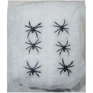 Spinnenweb met spinnen 100 gr
