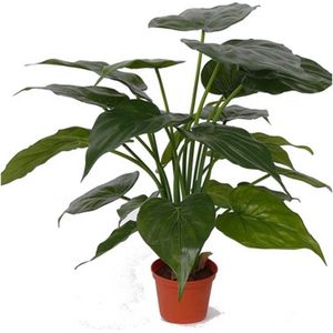 Kunstplant alocasia olifantsoor - groen - H51 cm - Groene huis of kantoor nepplanten - Kunstplanten