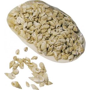 Rayher Schelpjes - posthoorn schelpen - decoratie - 150 gram - maritiem