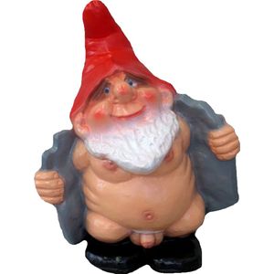 Grappge tuinkabouters - Potloodventer - Exhibitionist - kunststof - 35 cm