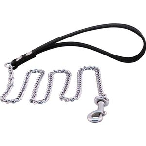Mister B - Puppy Leash Chain - Bondage / SM Collar and leash Metaal