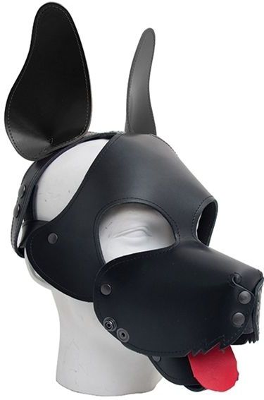 MisterB Shaggy Dog Hood
