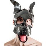 Mister b fetch rubber dog hood