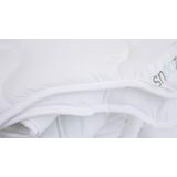 Snoozing Swiss Dreams - Synthetisch - 4-seizoenen dekbed - Tweepersoons - 200x220 cm - Wit