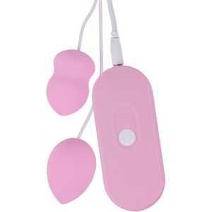 Willie Toys Pink Love Eggs met afstandsbediening