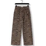 Catwalk Junkie Cargo Jeans Jeans Dames Broek Bruin