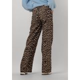 Catwalk Junkie Cargo Jeans Jeans Dames Broek Bruin