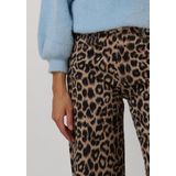 Catwalk Junkie Cargo Jeans Jeans Dames Broek Bruin