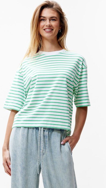 T-shirt - Island Green - Gestreept - Loose Fit - 100% Biologisch Katoen