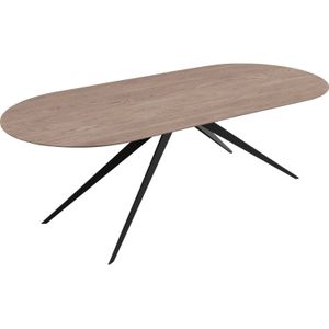 Goossens Excellent Eettafel Floyd, Semi rond 260 x 100 cm