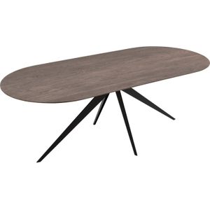 Goossens Excellent Eettafel Floyd, Semi rond 220 x 100 cm