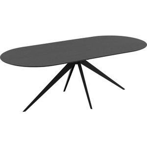 Goossens Excellent Eettafel Floyd, Semi rond 180 x 100 cm