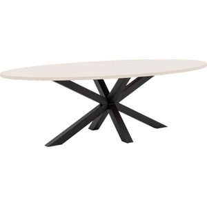 Goossens Eettafel Stone, Ovaal 250 x 120 cm