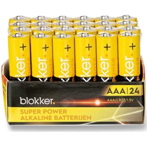 Blokker Alkaline Batterijen - AAA - 24 stuks