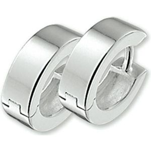 klapoorringen 5 mm vlak zilver wit 1011888