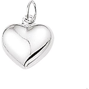 hanger hart zilver wit 1004881