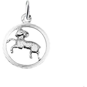 hanger sterrenbeeld gediamanteerd zilver wit 1014502