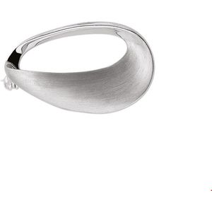 broche poli/mat zilver gerhodineerd 1311887