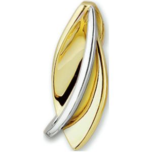 Bicolor Gouden Hanger 4205243