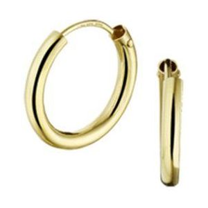 The Jewelry Collection Oorringen Ronde Buis - Geelgoud