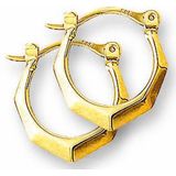 Huiscollectie - 4010354 - Oorring - Goud - 14 Karaats - 16 mm