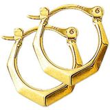 Huiscollectie - 4010354 - Oorring - Goud - 14 Karaats - 16 mm