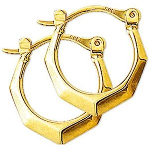 Huiscollectie - 4010354 - Oorring - Goud - 14 Karaats - 16 mm