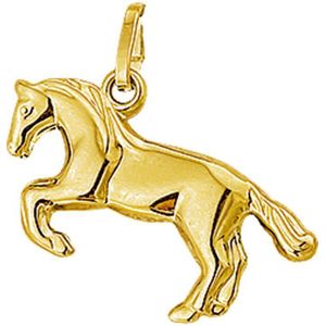hanger paard 14K geelgoud 4001854
