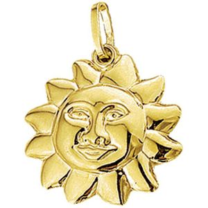 hanger zon 14K geelgoud 4001979