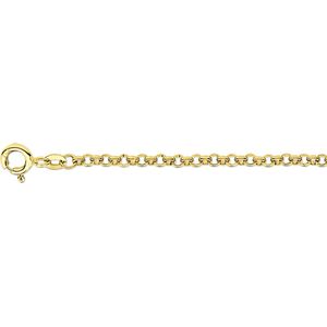 armband jasseron 2,5 mm 14K geelgoud 4012506