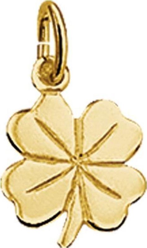 Hanger - Klaver - 14K Geelgoud