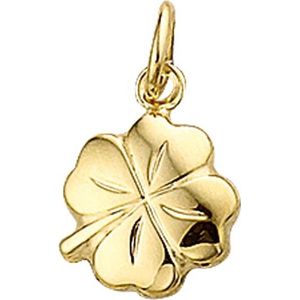 hanger klavertje 2-zijdig 14K geelgoud 4005611