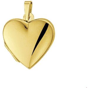 medaillon hart 14K geelgoud 4005797