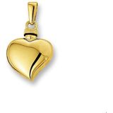 Urnhanger - Hart - 14K Geelgoud
